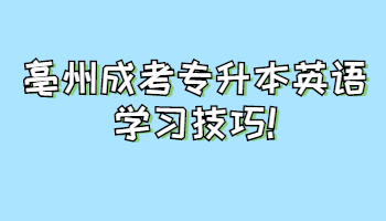 亳州成考專升本英語學習技巧