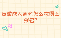 阜陽成人高考怎么在網上報名