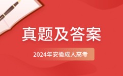 2024年安徽成考專升本英語真題及答案